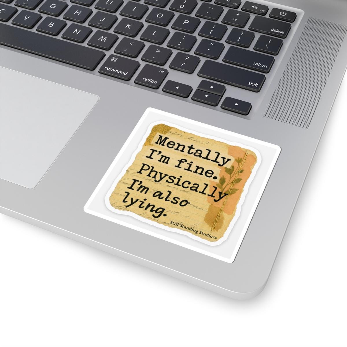 Funny Mental Health Vinyl Sticker, Laptop Decal